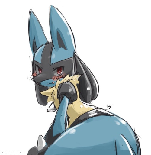 Lucario | image tagged in lucario | made w/ Imgflip meme maker