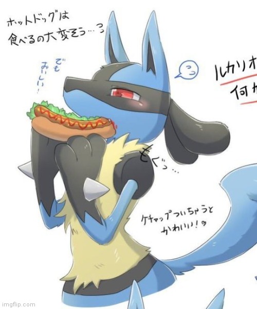 Lucario | image tagged in lucario | made w/ Imgflip meme maker