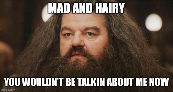 Hagrid | MAD AND HAIRY YOU WOULDN’T BE TALKIN ABOUT ME NOW | image tagged in hagrid | made w/ Imgflip meme maker