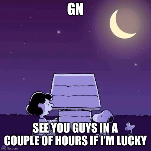 Good night  | GN; SEE YOU GUYS IN A COUPLE OF HOURS IF I’M LUCKY | image tagged in good night | made w/ Imgflip meme maker