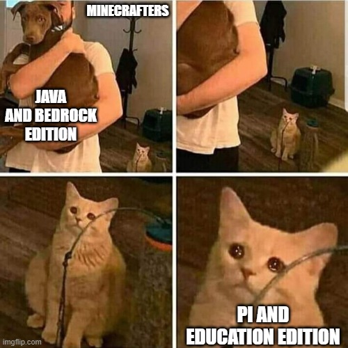 Sad Cat Holding Dog | MINECRAFTERS; JAVA AND BEDROCK EDITION; PI AND EDUCATION EDITION | image tagged in sad cat holding dog | made w/ Imgflip meme maker