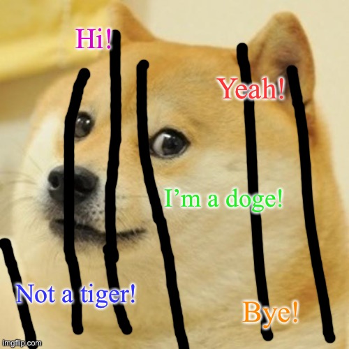 Doge Meme | Hi! Yeah! I’m a doge! Not a tiger! Bye! | image tagged in memes,doge | made w/ Imgflip meme maker