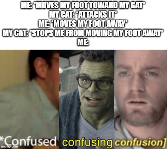 Cat. Bottom text. | ME: *MOVES MY FOOT TOWARD MY CAT*
MY CAT: *ATTACKS IT*
ME: *MOVES MY FOOT AWAY*
MY CAT: *STOPS ME FROM MOVING MY FOOT AWAY*
ME: | image tagged in confused confusing confusion | made w/ Imgflip meme maker