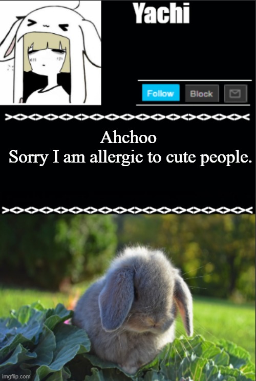 Yachi temp | Ahchoo 
Sorry I am allergic to cute people. | image tagged in yachi temp | made w/ Imgflip meme maker
