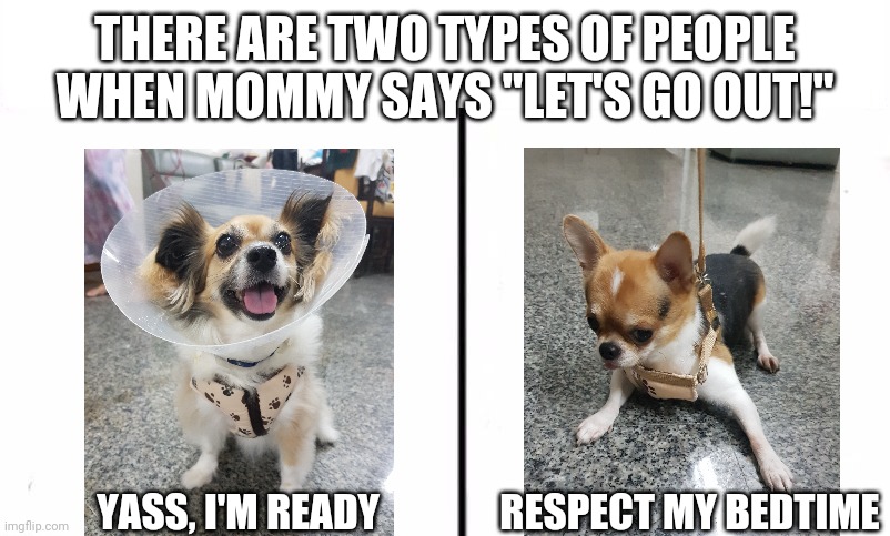 Two Types Of People In This World | THERE ARE TWO TYPES OF PEOPLE WHEN MOMMY SAYS "LET'S GO OUT!"; YASS, I'M READY               RESPECT MY BEDTIME | image tagged in two types of people in this world | made w/ Imgflip meme maker