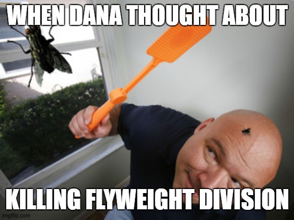 dana killing the flyweight division | WHEN DANA THOUGHT ABOUT; KILLING FLYWEIGHT DIVISION | image tagged in funny | made w/ Imgflip meme maker