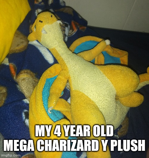 MY 4 YEAR OLD MEGA CHARIZARD Y PLUSH | image tagged in charizard | made w/ Imgflip meme maker