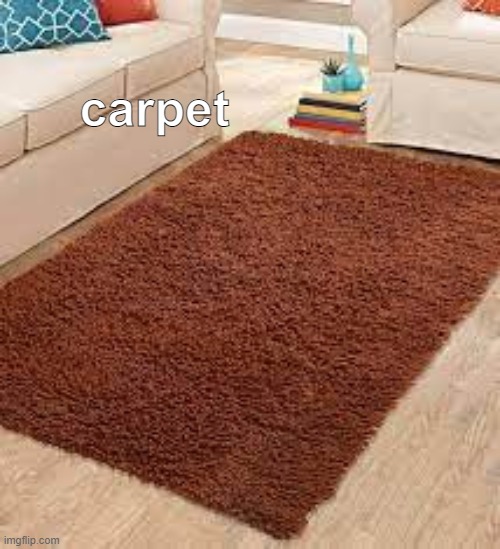 carpet | made w/ Imgflip meme maker