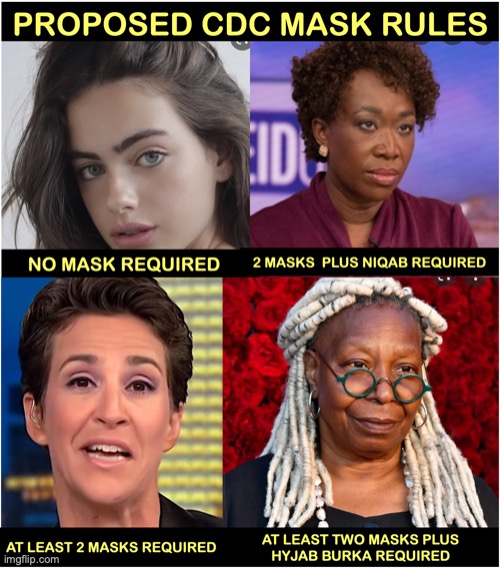 New CDC Mask Guidelines | image tagged in face mask | made w/ Imgflip meme maker