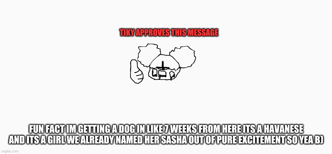 doggi!1!!!!!!1111!!1 | TIKY APPROVES THIS MESSAGE; FUN FACT I'M GETTING A DOG IN LIKE 7 WEEKS FROM HERE ITS A HAVANESE AND ITS A GIRL WE ALREADY NAMED HER SASHA OUT OF PURE EXCITEMENT SO YEA B) | made w/ Imgflip meme maker