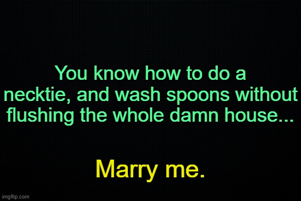 . | You know how to do a necktie, and wash spoons without flushing the whole damn house... Marry me. | image tagged in black | made w/ Imgflip meme maker