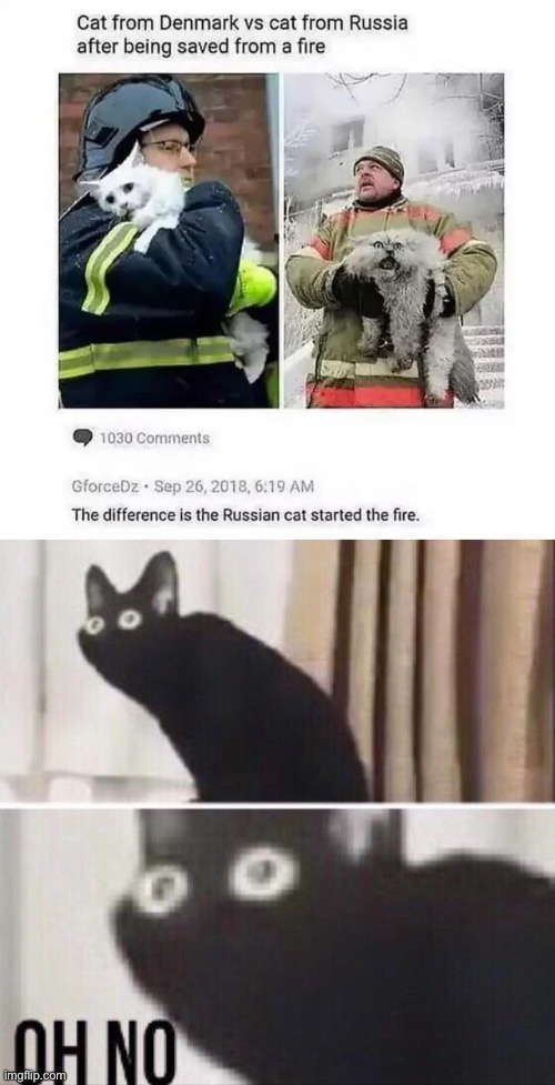 In Denmark, cats need firefighters to save them. In mother Russia, firefighters need cats to save them. But the cat’s do not. | image tagged in oh no cat,memes,unfunny | made w/ Imgflip meme maker