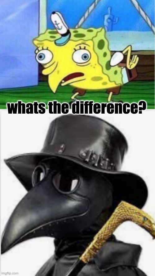  whats the difference? | image tagged in memes,mocking spongebob | made w/ Imgflip meme maker