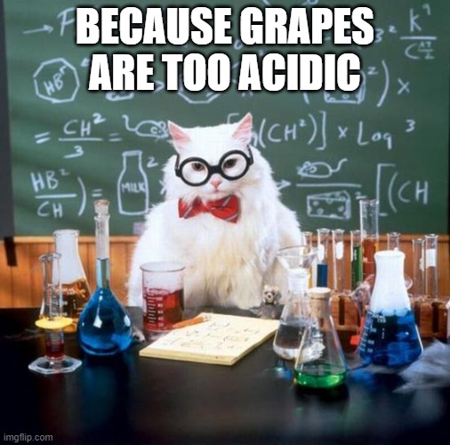 Chemistry Cat Meme | BECAUSE GRAPES ARE TOO ACIDIC | image tagged in memes,chemistry cat | made w/ Imgflip meme maker