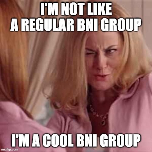 Mean Girls- Cool Mom | I'M NOT LIKE A REGULAR BNI GROUP; I'M A COOL BNI GROUP | image tagged in mean girls- cool mom | made w/ Imgflip meme maker