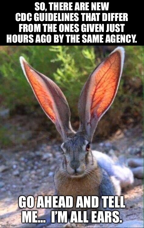 Hare-brained guidance from the CDC | SO, THERE ARE NEW CDC GUIDELINES THAT DIFFER FROM THE ONES GIVEN JUST HOURS AGO BY THE SAME AGENCY. GO AHEAD AND TELL ME…  I’M ALL EARS. | image tagged in covid-19 | made w/ Imgflip meme maker