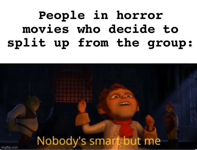 Seriously, what are they thinking? | People in horror movies who decide to split up from the group: | image tagged in blank white template,nobody's smart but me,memes,unfunny | made w/ Imgflip meme maker