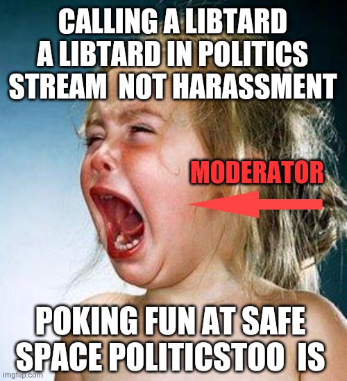 crying girl | CALLING A LIBTARD A LIBTARD IN POLITICS STREAM  NOT HARASSMENT; MODERATOR; POKING FUN AT SAFE SPACE POLITICSTOO  IS | image tagged in crying girl | made w/ Imgflip meme maker