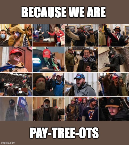 DC Insurrectionists 4 | BECAUSE WE ARE; PAY-TREE-OTS | image tagged in dc insurrectionists 4 | made w/ Imgflip meme maker