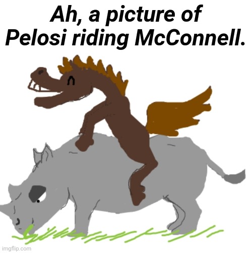 Rino | Ah, a picture of Pelosi riding McConnell. | image tagged in rino | made w/ Imgflip meme maker