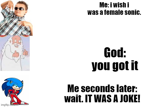 joke gone wrong | Me: i wish i was a female sonic. God: you got it; Me seconds later: wait. IT WAS A JOKE! | image tagged in blank white template | made w/ Imgflip meme maker