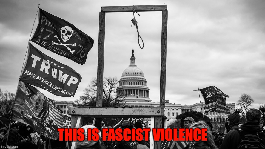Noose at the Capitol | THIS IS FASCIST VIOLENCE | image tagged in noose at the capitol | made w/ Imgflip meme maker