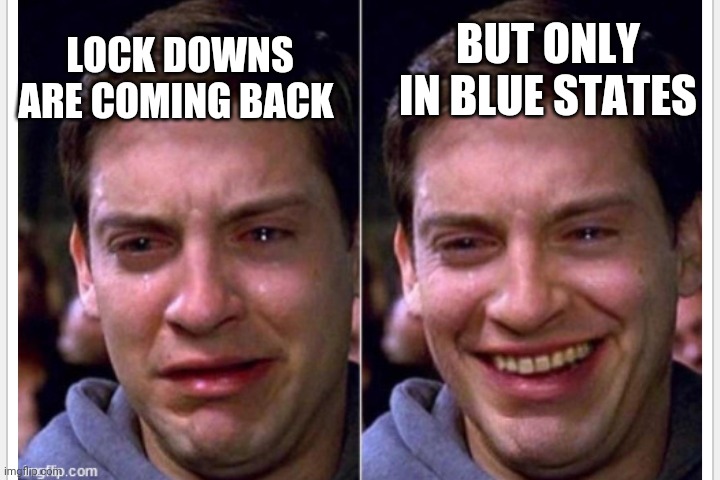 Whatevs | BUT ONLY IN BLUE STATES; LOCK DOWNS ARE COMING BACK | image tagged in crying | made w/ Imgflip meme maker