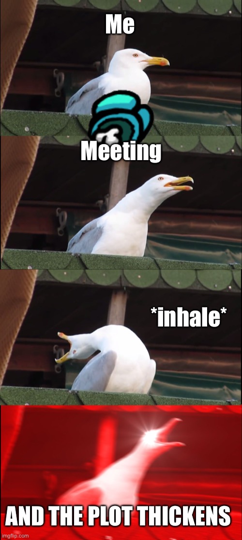 Inhaling Seagull Meme | Me Meeting *inhale* AND THE PLOT THICKENS | image tagged in memes,inhaling seagull | made w/ Imgflip meme maker