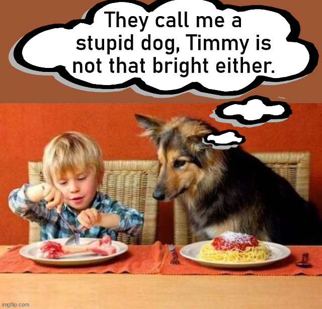 They call me a stupid dog, Timmy is not that bright either. | image tagged in dogs | made w/ Imgflip meme maker