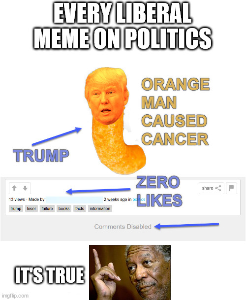 LIBERAL MEMES | EVERY LIBERAL MEME ON POLITICS; IT'S TRUE | image tagged in stupid liberals | made w/ Imgflip meme maker