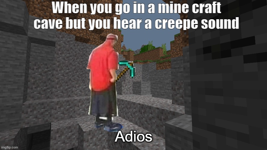 When you go in a cave but you hear a creepe sound | When you go in a mine craft cave but you hear a creepe sound; Adios | image tagged in mincraft | made w/ Imgflip meme maker