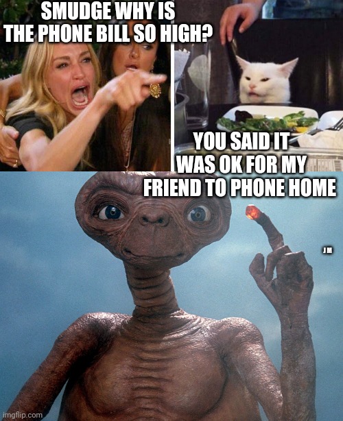 SMUDGE WHY IS THE PHONE BILL SO HIGH? YOU SAID IT WAS OK FOR MY FRIEND TO PHONE HOME; J M | image tagged in smudge the cat | made w/ Imgflip meme maker