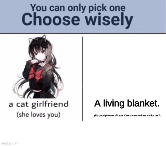 Choose wisely | A living blanket. (No good pictures of Laze. Can someone draw him for me?) | image tagged in choose wisely | made w/ Imgflip meme maker