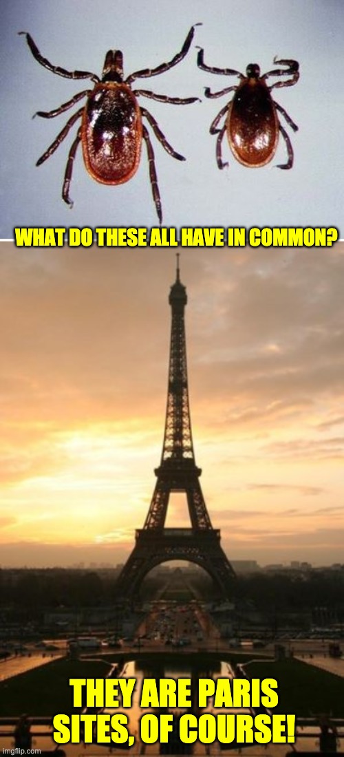 My puns are all full groan! | WHAT DO THESE ALL HAVE IN COMMON? THEY ARE PARIS SITES, OF COURSE! | image tagged in ticks,eiffel tower | made w/ Imgflip meme maker