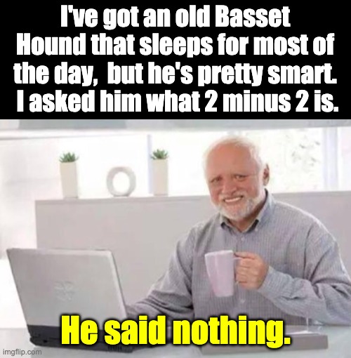 Smart hound | I've got an old Basset Hound that sleeps for most of the day,  but he's pretty smart.  I asked him what 2 minus 2 is. He said nothing. | image tagged in harold | made w/ Imgflip meme maker