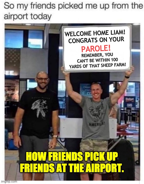 Friends! | WELCOME HOME LIAM! 
CONGRATS ON YOUR; PAROLE! REMEMBER, YOU CAN'T BE WITHIN 100 YARDS OF THAT SHEEP FARM! HOW FRIENDS PICK UP FRIENDS AT THE AIRPORT. | image tagged in welcome home | made w/ Imgflip meme maker