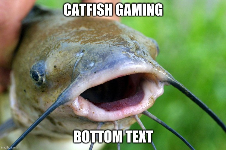 CATFISH GAMING; BOTTOM TEXT | made w/ Imgflip meme maker
