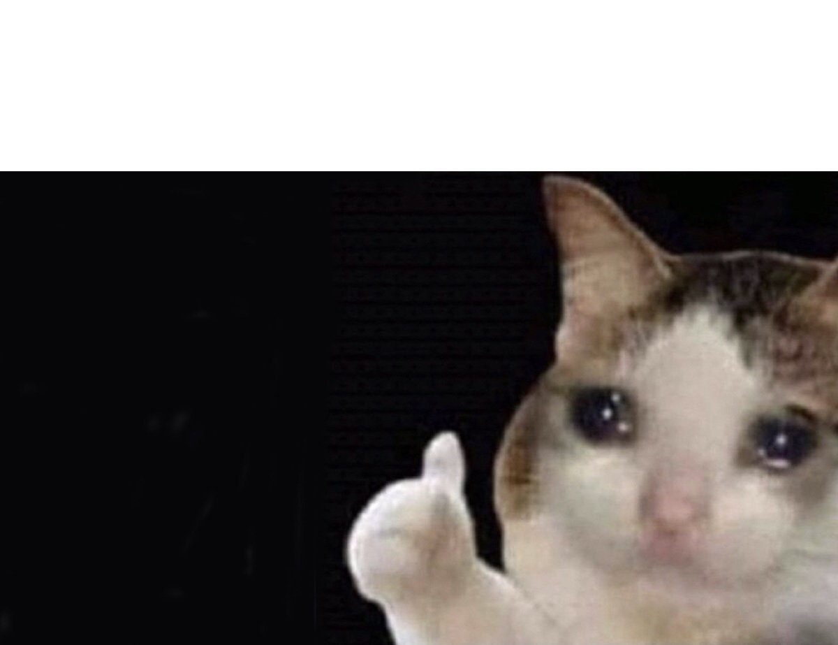 Crying cat thumbs up Blank Meme Template