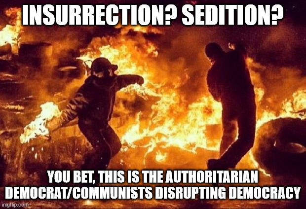 DEMOCRATS = COMMUNISTS | INSURRECTION? SEDITION? YOU BET, THIS IS THE AUTHORITARIAN DEMOCRAT/COMMUNISTS DISRUPTING DEMOCRACY | image tagged in sedition,communist socialist,democratic socialism,antifa | made w/ Imgflip meme maker