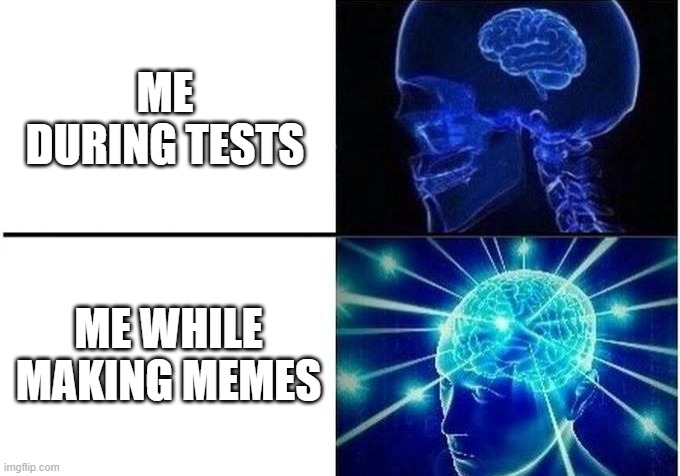 Small brain meme | ME DURING TESTS; ME WHILE MAKING MEMES | image tagged in small brain meme | made w/ Imgflip meme maker