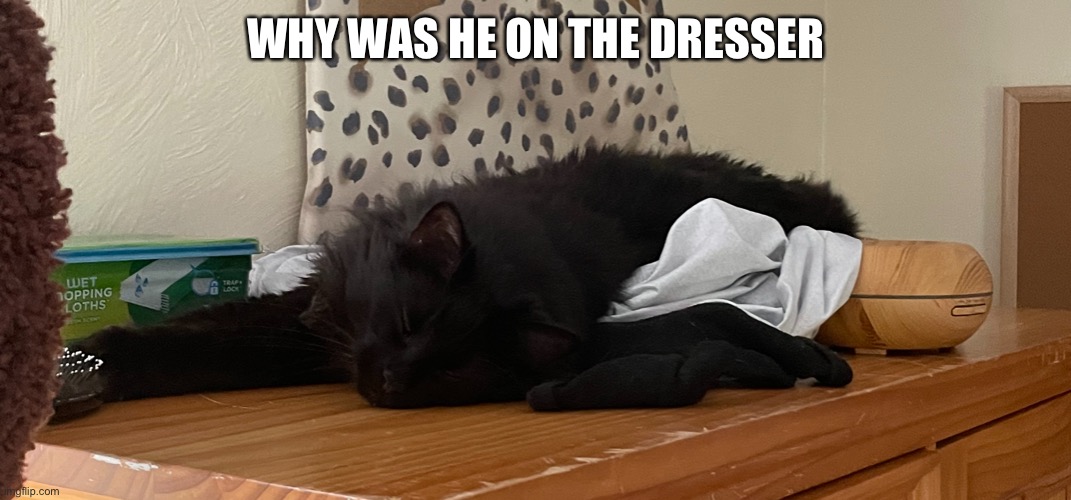 WHY WAS HE ON THE DRESSER | made w/ Imgflip meme maker