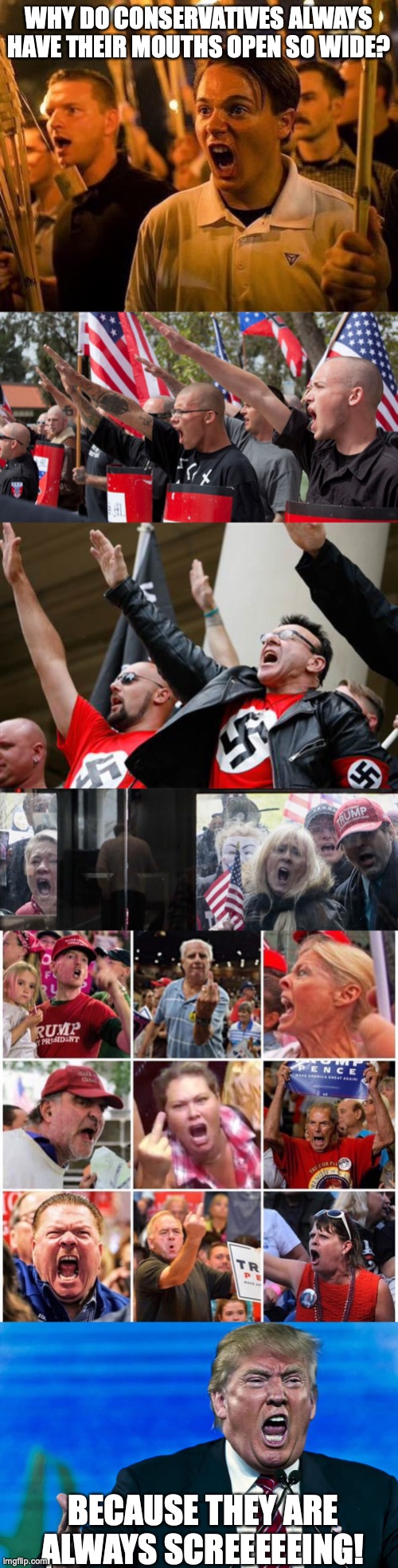 WHY DO CONSERVATIVES ALWAYS HAVE THEIR MOUTHS OPEN SO WIDE? BECAUSE THEY ARE ALWAYS SCREEEEEING! | image tagged in triggered neo nazi,neo nazis,neo-nazi,trump michigan protesters,triggered trump supporters,angry trump | made w/ Imgflip meme maker
