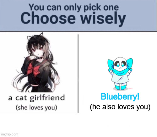 Choose wisely | Blueberry! (he also loves you) | image tagged in choose wisely,blueberry,sans,girlfriend | made w/ Imgflip meme maker
