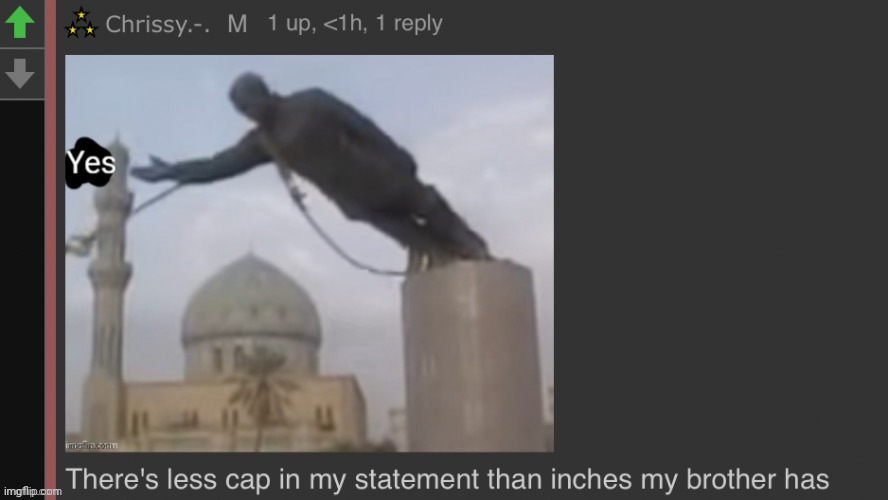 . | image tagged in there s less cap in this statement than my brother has in inches | made w/ Imgflip meme maker