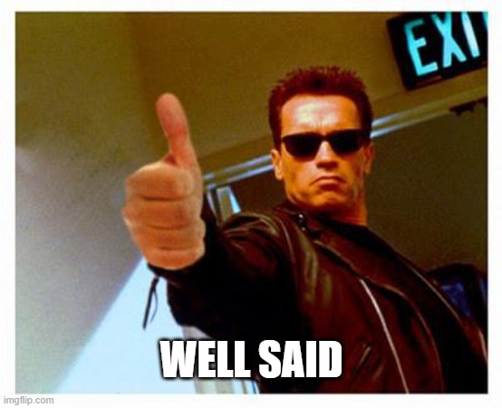 terminator thumbs up | WELL SAID | image tagged in terminator thumbs up | made w/ Imgflip meme maker