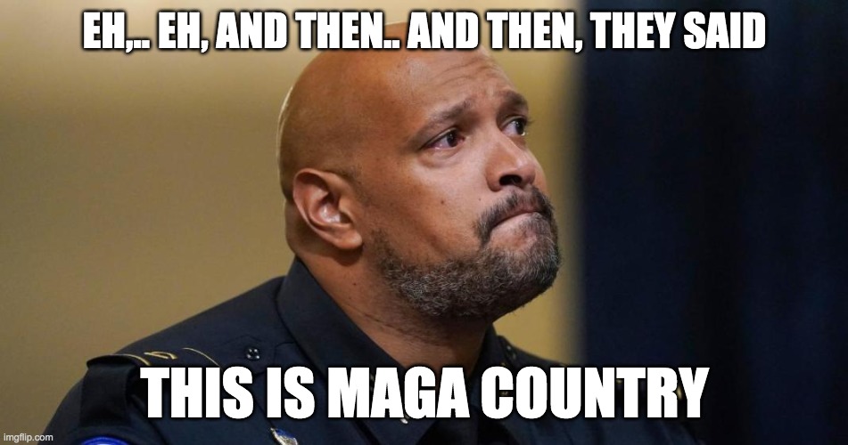 This is MAGA country! | EH,.. EH, AND THEN.. AND THEN, THEY SAID THIS IS MAGA COUNTRY | image tagged in officer dunn,capitol hearing | made w/ Imgflip meme maker