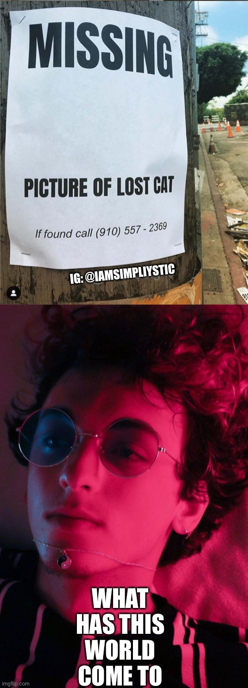 What has this world come to | IG: @IAMSIMPLIYSTIC; WHAT HAS THIS WORLD COME TO | image tagged in stupid signs,funny,memes,hmmm,cursed image,lol | made w/ Imgflip meme maker