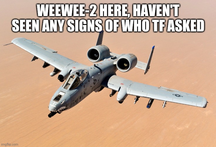 weewee-2 | WEEWEE-2 HERE, HAVEN'T SEEN ANY SIGNS OF WHO TF ASKED | image tagged in weewee-2 | made w/ Imgflip meme maker