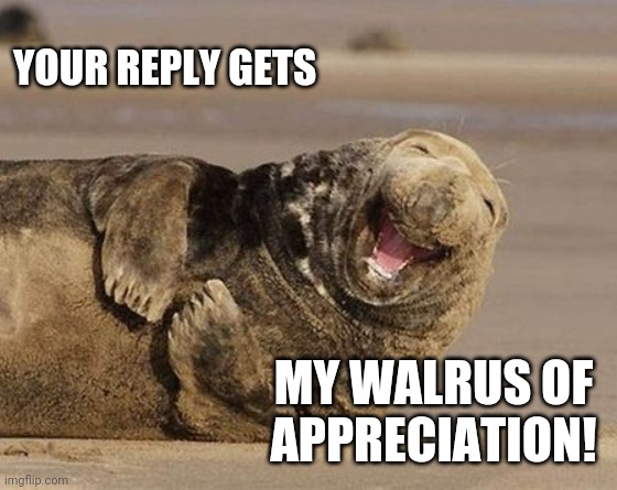 Haha! your so funny walrus | YOUR REPLY GETS MY WALRUS OF APPRECIATION! | image tagged in haha your so funny walrus | made w/ Imgflip meme maker