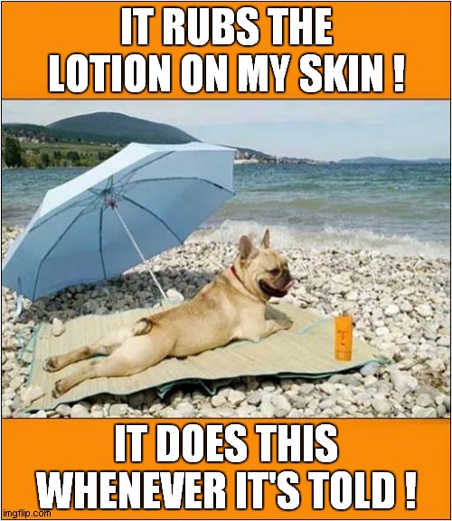 Sun Bathing Dog Demands Attention ! | IT RUBS THE LOTION ON MY SKIN ! IT DOES THIS WHENEVER IT'S TOLD ! | image tagged in dogs,sunbathing,lotion,silence of the lambs | made w/ Imgflip meme maker